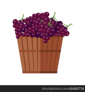 Wooden Basket with Grapes. Red Wine.. Wooden basket with grapes. Red vine. Fruit for preparation check elite vintage strong wine. Bunch or cluster of grapes. Grapery racemation. Part of series of viniculture production items. Vector