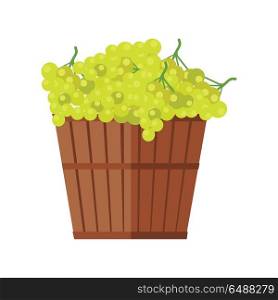 Wooden Basket with Grapes. White Wine.. Wooden basket with grapes. White Wine. Fruit for preparation check elite vintage strong wine. Bunch or cluster of grapes. Grapery racemation. Part of series of viniculture production items. Vector
