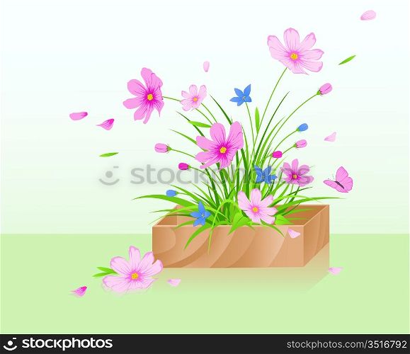 Wooden box with red cosmos flowers