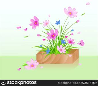 Wooden box with red cosmos flowers