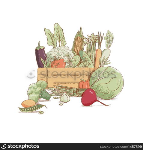 Wooden crate with collection of hand-drawn popular vintage style seasonal vegetables and coolinary herbs, vector illustration. Harvest. Healthy lifestyle. Farmer bio products. For prints, menu, labels. Wooden crate with collection of hand-drawn popular vintage style seasonal vegetables and coolinary herbs,