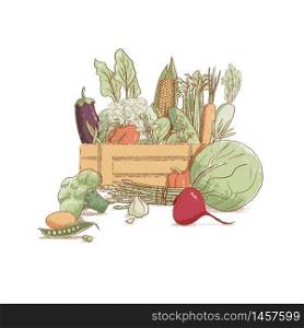 Wooden crate with collection of hand-drawn popular vintage style seasonal vegetables and coolinary herbs, vector illustration. Harvest. Healthy lifestyle. Farmer bio products. For prints, menu, labels. Wooden crate with collection of hand-drawn popular vintage style seasonal vegetables and coolinary herbs,