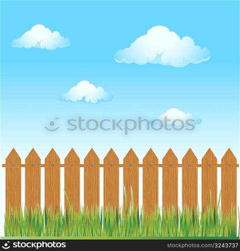 Wooden fence, summer grass