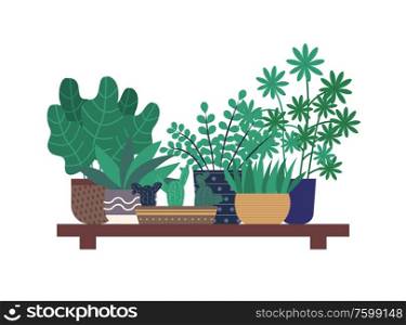 Wooden shelf with plants, flowers vector flat style, flowerpot with foliage and flora. Decor for home, containers with dots, botany flora leaves greenhouse. Houseplant in Orangery, Greenhouse Shelf Flowers