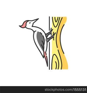 Woodpecker RGB color icon. Common bird, forest inhabitant, flying woodland creature. Zoology, ornithology. Pecker sitting on tree isolated vector illustration. Woodpecker RGB color icon