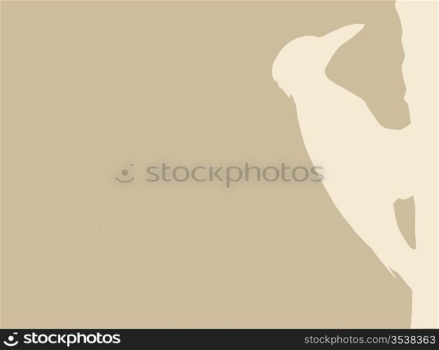 woodpecker silhouette on brown background, vector illustration
