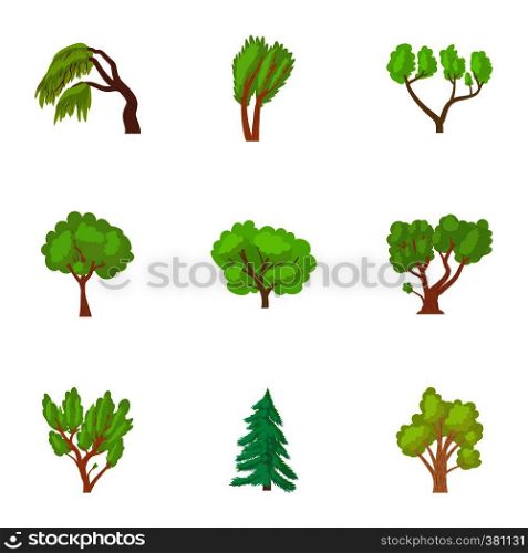 Woody plants icons set. Cartoon illustration of 9 woody plants vector icons for web. Woody plants icons set, cartoon style