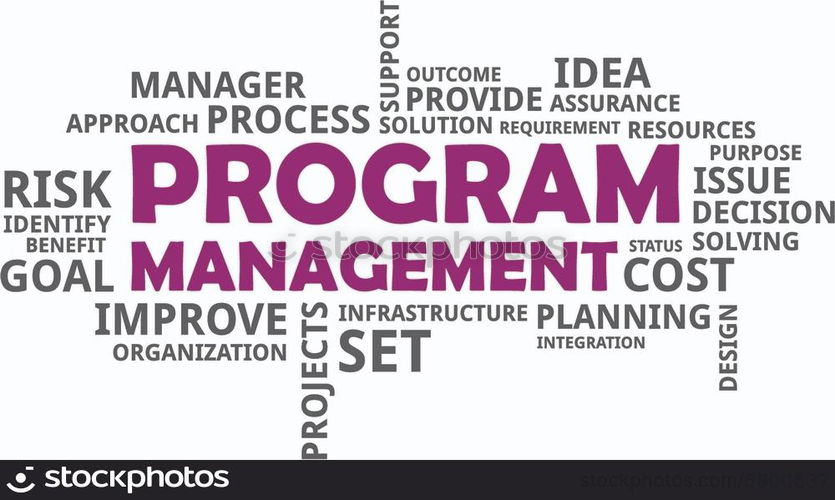 word cloud - program management