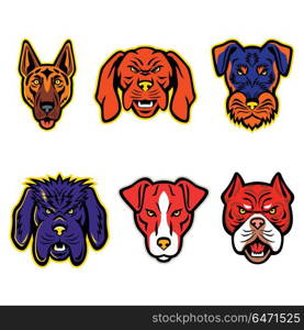 Working Dogs Mascot Collection Set. Mascot icon illustration set of heads of working or hunting dogs like the German Shepherd, Hungarian Vizsla, Jagdterrier, Newfoundland Dog, Plummer Terrier and Red Tiger Bulldog viewed from on isolated background in retro style.. Working Dogs Mascot Collection Set