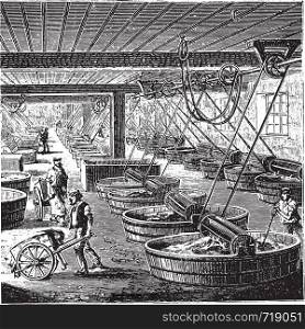 Workshop tanning with sumac, vintage engraved illustration. Industrial encyclopedia E.-O. Lami - 1875.