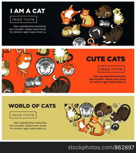 World of cute cats promotional Internet posters set. Adorable domestic animals with fluffy fur isolated cartoon flat vector illustrations with sample text. Friendly pet online shelter page template.. World of cute cats promotional Internet posters set