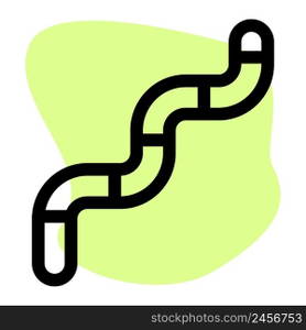 Worm, a malware program that replicates itself.