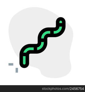 Worm, a malware program that replicates itself.