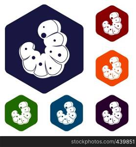 Worm icons set hexagon isolated vector illustration. Worm icons set hexagon