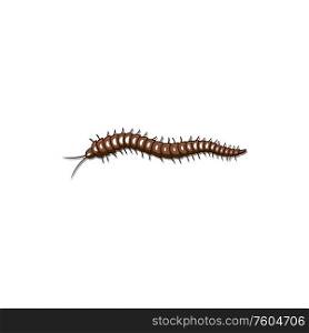 Worm with hair tentacles isolated crawling pest. Vector hairy slug, shell-less mollusk with antennas. Brown slug caterpillar maggot isolated hairy worm