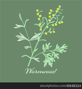 Wormwood herb.Artemisia absinthium. . Wormwood herb or Artemisia absinthium. Vector illustration.