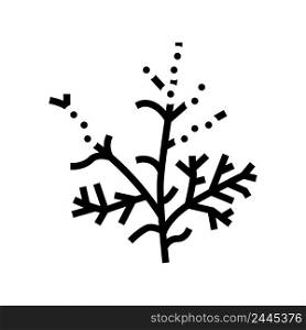 wormwood plant glyph icon vector. wormwood plant sign. isolated contour symbol black illustration. wormwood plant glyph icon vector illustration