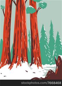 WPA poster art of Redwood National and State Park during winter with coastal redwoods located northern California, United States done in works project administration or federal art project style.. Redwood National and State Park During Winter with Coastal Redwoods Located Northern California WPA Poster Art 