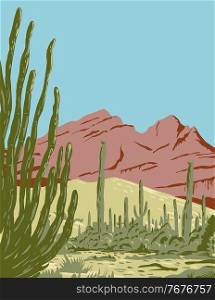 WPA poster art of the Organ Pipe Cactus National Monument and biosphere reserve located in Arizona that shares border with the Mexican state of Sonora done in works project administration style style.. Organ Pipe Cactus National Monument and Biosphere Reserve Located in Arizona and the Mexican State of Sonora WPA Poster Art