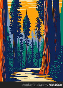 WPA Poster Art of the Simpson-Reed Grove of Coast redwoods located in Jedediah Smith State Park part of Redwood National and State Parks in California done in works project administration style.. Simpson-Reed Grove of Coast Redwoods Located in Jedediah Smith State Park Part of Redwood National and State Parks in California WPA Poster Art