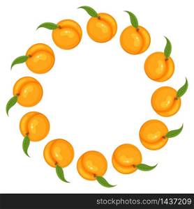 Wreath from bright peach fruit with space for text. Cartoon organic sweet food. Summer fruits for healthy lifestyle. Vector illustration for any design. Wreath from bright peach fruit with space for text. Cartoon organic sweet food. Summer fruits for healthy lifestyle. Vector illustration for any design.