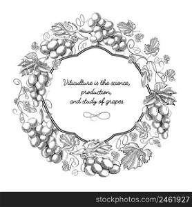wreath of twigs grapes. Sketch. Hand drawing. Design concept. Vector Illustration, eps10, contains transparencies.. wreath of twigs grapes. Sketch. Hand drawing. Design concept