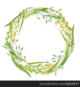 Wreath with herbs and cereal grass. Floral design of meadow plants. Wreath with herbs and cereal grass. Floral design of meadow plants.