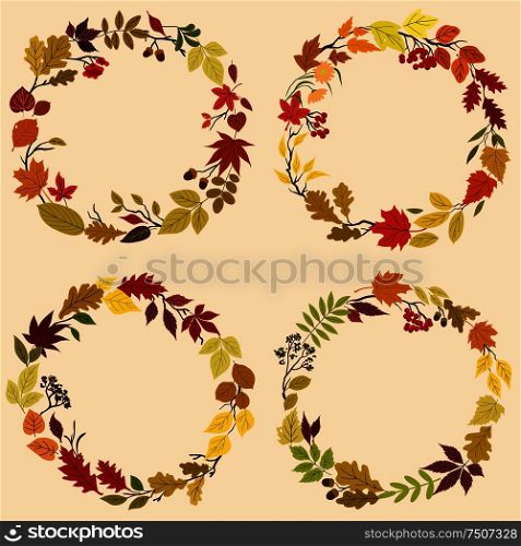 Wreaths of colorful autumn leaves, tree and bush branches, flowers, herbs, acorns and berries. Wreaths of autumn leaves, flowers and herbs