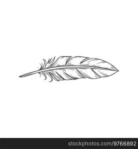 Writing feather pen isolated monochrome sketch. Vector quill, old handwriting symbol. Retro quill or feather pen isolated writing tool