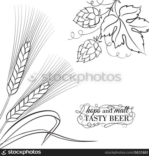 Wwheat ear and hop isolated on a white background.