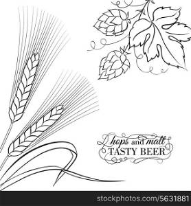 Wwheat ear and hop isolated on a white background.