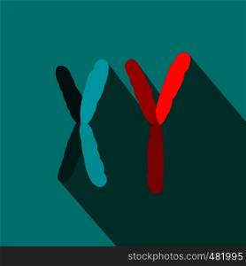 X and Y chromosome flat icon on a blue background. X and Y chromosome flat icon
