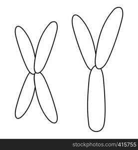 X and Y chromosome icon. Outline illustration of X and Y chromosome vector icon for web. X and Y chromosome icon, outline style