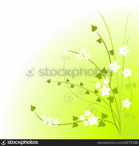 &#xA;Green blossoms on a light wash background