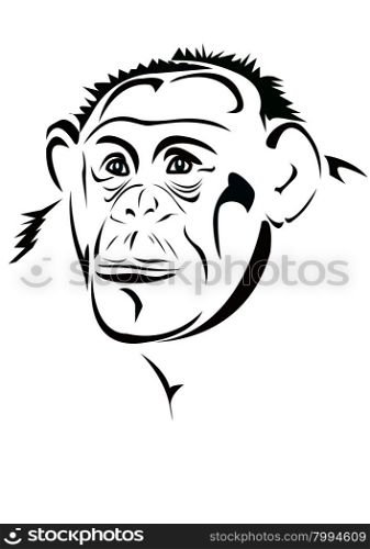 &#xA;&#xA;A monkey. The head of a monkey in a graphic style