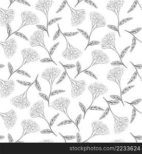 Yarrow seamless pattern monochrome nature medical plant background