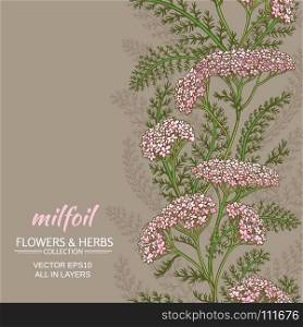 yarrow vector background. yarrow flowers vector pattern on color backgrond