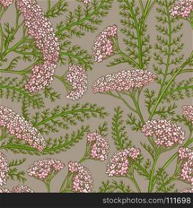 yarrow vector pattern. yarrow flowers vector pattern on color background
