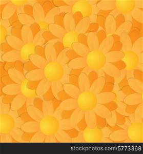 Yellow And Orange Gerberas