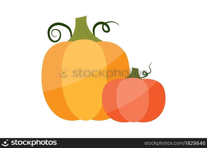 Yellow and orange pumpkins. Holiday time. Thanksgiving day. Autumn vegetables. Vector illustration. Stock image. EPS 10.. Yellow and orange pumpkins. Holiday time. Thanksgiving day. Autumn vegetables. Vector illustration. Stock image.