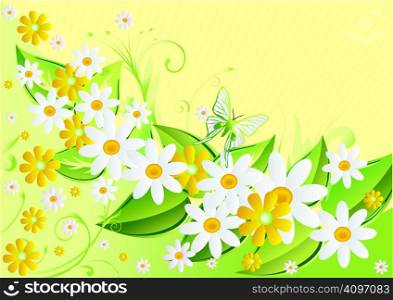 Yellow and white camomiles on green also it is light a yellow background with butterflies
