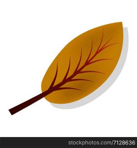 Yellow autumn leaf icon. Realistic illustration of yellow autumn leaf vector icon for web design isolated on white background. Yellow autumn leaf icon, realistic style