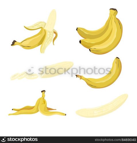 Yellow bananas vector illustration set. Tropical fruit, exotic plant, healthy natural dessert, whole and cut ripe bananas with and without peel isolated on white background. Food, nature concept