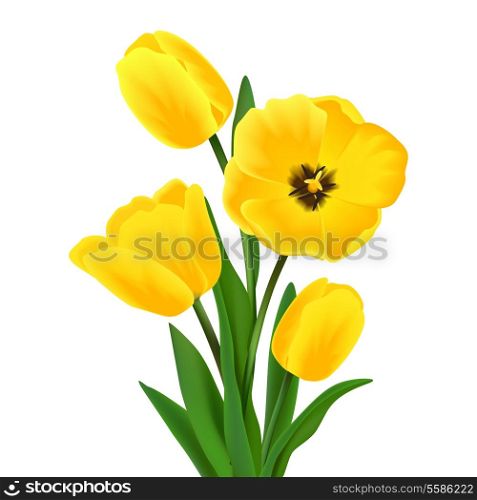 Yellow blossoming tulip flower bouquet realistic vector illustration