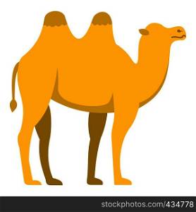 Yellow camel icon flat isolated on white background vector illustration. Yellow camel icon isolated