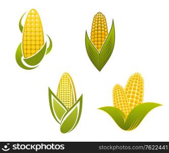 Yellow corn icons and symbols for agriculture design