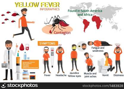 Yellow fever infographic elements. Symptoms, Preventions and Treatment Yellow fever or dengue. Dangerous mosquito. Outbreak from mosquito. There is an outbreak in South America and Africa. vector illustration.