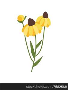Yellow flower isolated icon vector, 8 march flora decoration. Holiday celebration, spring botanical element, thing to ornate. Bouquet blossom with petals. Yellow Gerbera with Green Stable and Foliage Icon