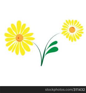 Yellow flower vector illustration isolated on a white background