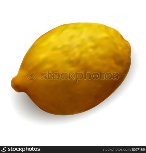 Yellow lemon mockup isolated on white background. Fresh 3d Vector fruit illustration in realistic style. . Yellow lemon mockup isolated on white background.